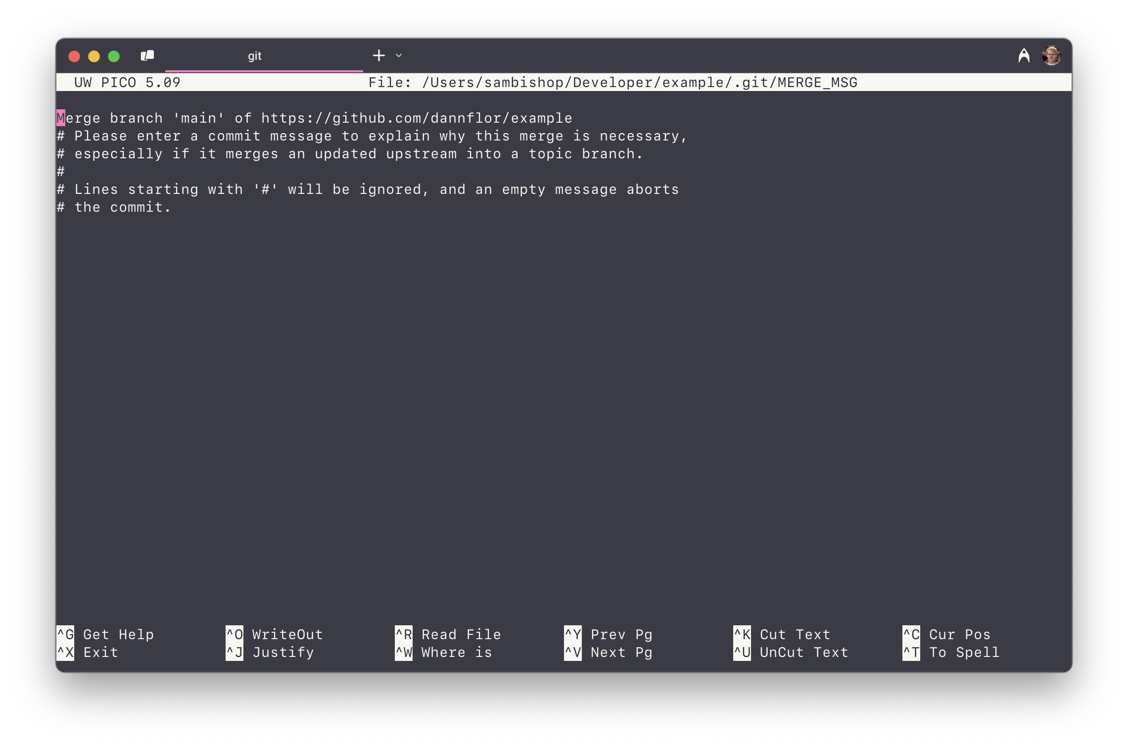 A terminal window with nano open
