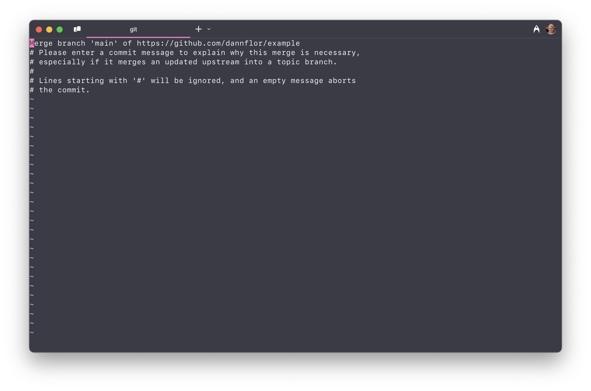 A terminal window with vim open
